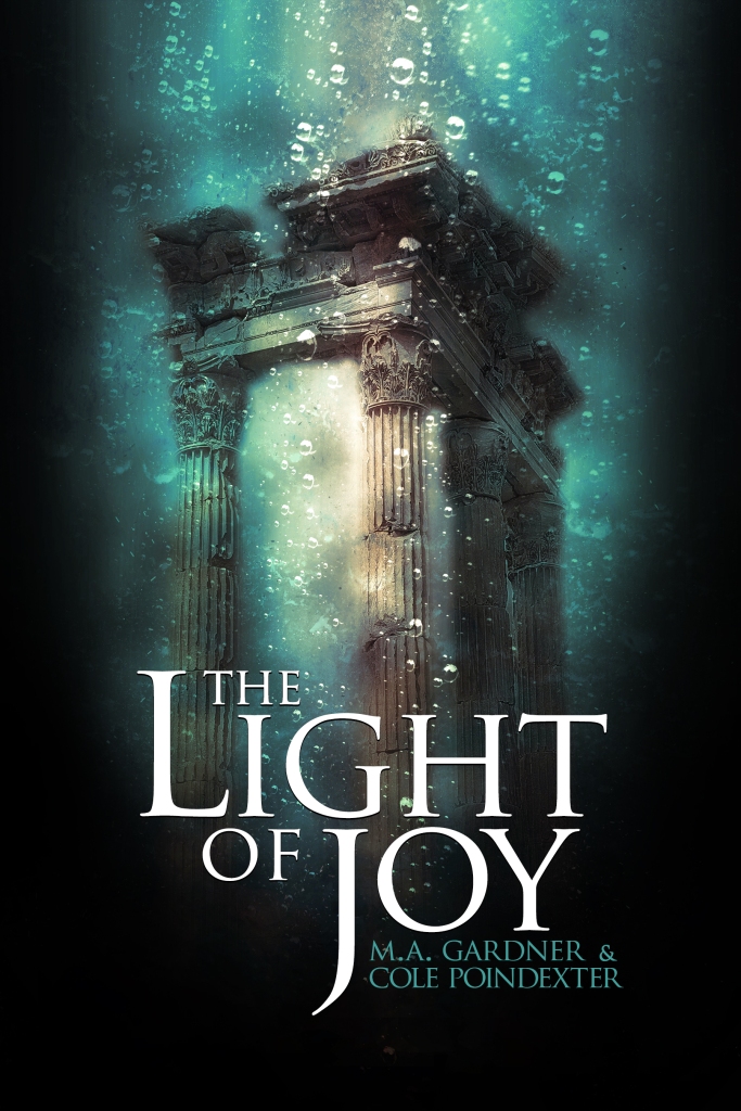 The Light of Joy book cover